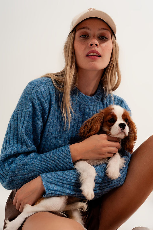 Boxy chunky stitch sweater in blue | Just Cool Beans — sweaters | tops