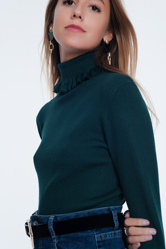 Green turtleneck sweatshirt | Just Cool Beans — sweaters | tops